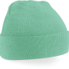 Variation picture for Mint Green