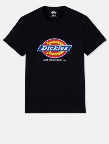 Heren-t-shirt DENISON (DT6010)