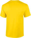 GI2000-2_2025