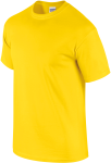 GI2000-2_2025