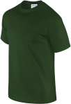 GI2000-2_2025
