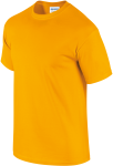GI2000-2_2025