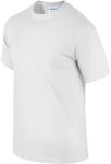 GI2000-2_2025