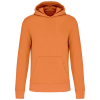 Variation picture for Light Orange