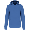 Variation picture for Light Royal Blue