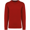 Variation picture for Cherry Red