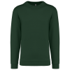 Variation picture for Forest Green