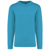 Variation picture for Hawaii Blue