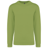 Variation picture for Pistachio