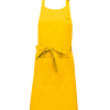 Variation picture for Yellow