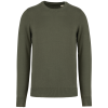 Variation picture for Organic Khaki