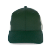 Variation picture for Forest Green / Light Grey