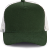 Variation picture for Forest Green / Light Grey