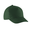 Variation picture for Forest Green