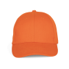 Variation picture for Orange