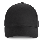 KP229-4_2025