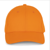 Variation picture for Orange