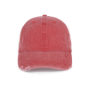Variation picture for Washed Red
