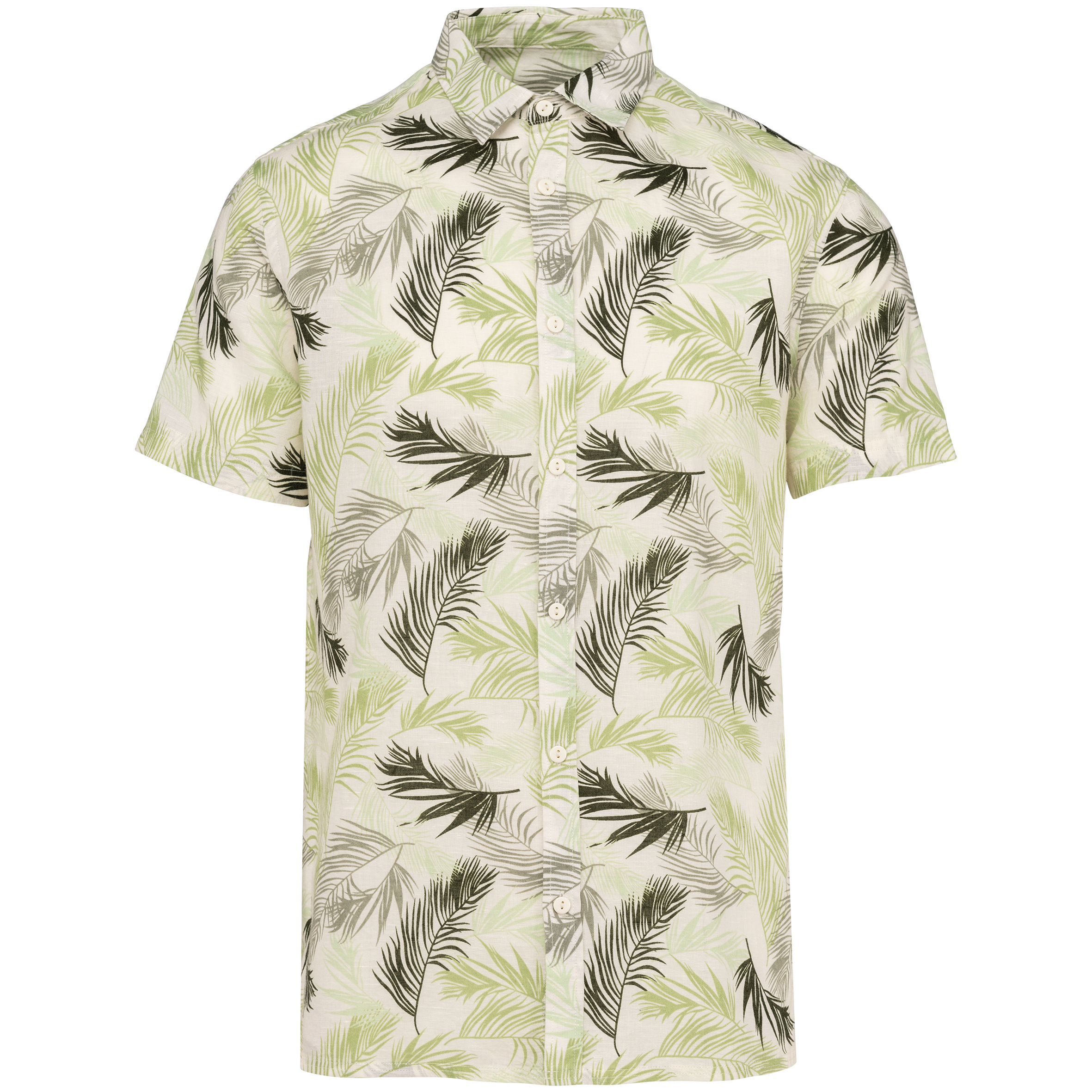 Variation picture for Ivory Palm Leaves Variation picture for Ivory Palm Leaves