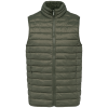 Variation picture for Organic Khaki