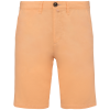 Variation picture for Pastel Apricot