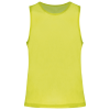 Variation picture for Fluorescent Yellow