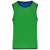 Variation picture for Sporty Royal Blue / Green