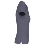PA481-01_2024