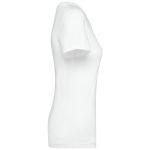 PK301_2024
