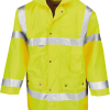 Variation picture for Fluorescent Yellow