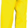 Variation picture for Fluorescent Yellow