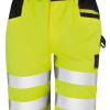Variation picture for Fluorescent Yellow