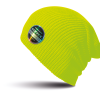 Variation picture for Fluorescent Yellow