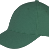 Variation picture for Bottle Green