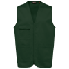 Variation picture for Forest Green