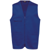 Variation picture for Royal Blue