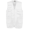Variation picture for White
