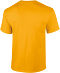 GI2000-2_2025