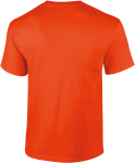 GI2000-2_2025