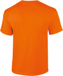 GI2000-2_2025