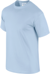 GI2000-2_2025