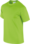 GI2000-2_2025