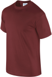 GI2000-2_2025