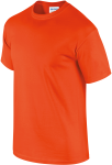 GI2000-2_2025