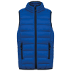 Variation picture for Light Royal Blue