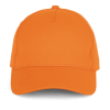 Variation picture for Orange