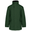 Variation picture for Forest Green