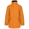 Variation picture for Orange
