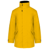 Variation picture for Yellow