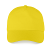 Variation picture for Bright yellow